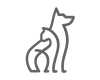 mascotas Alquiler